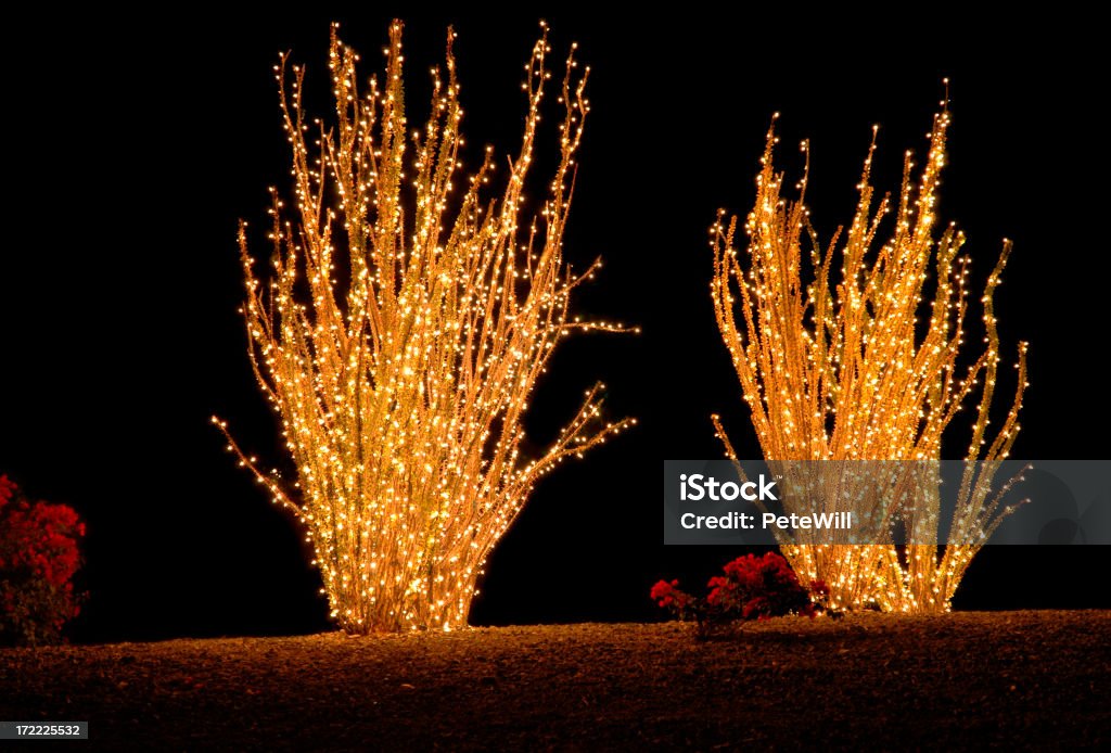 Arizona de Navidad - Foto de stock de Navidad libre de derechos