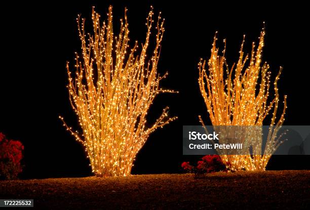 Photo libre de droit de De Noël De Larizona banque d'images et plus d'images libres de droit de Noël - Noël, Arizona, Cactus