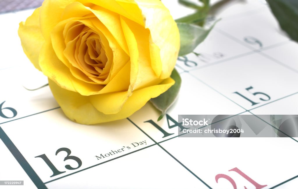 Dia das Mães - Royalty-free Arranjo de flores Foto de stock