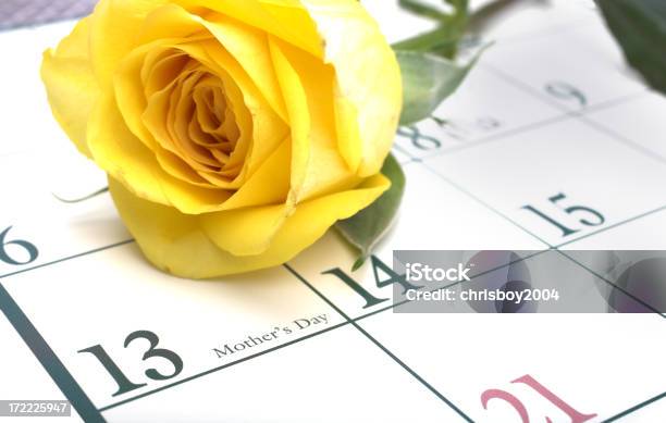 Dia Das Mães - Fotografias de stock e mais imagens de Arranjo de flores - Arranjo de flores, Cabeça de Flor, Calendário
