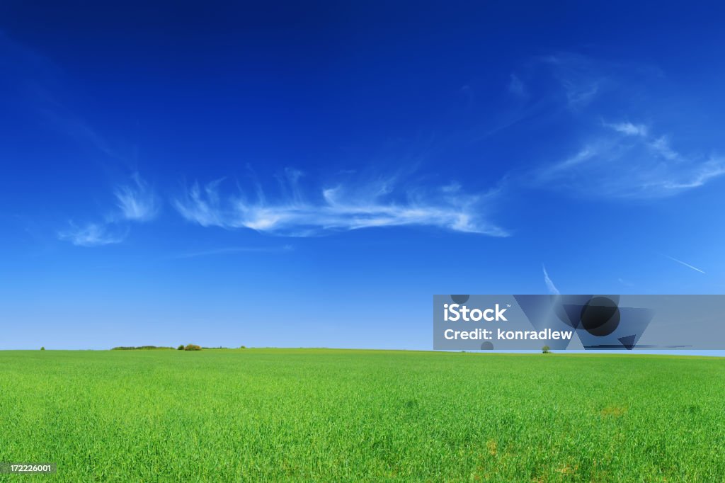 Paesaggio Verde campo - Foto stock royalty-free di Agricoltura