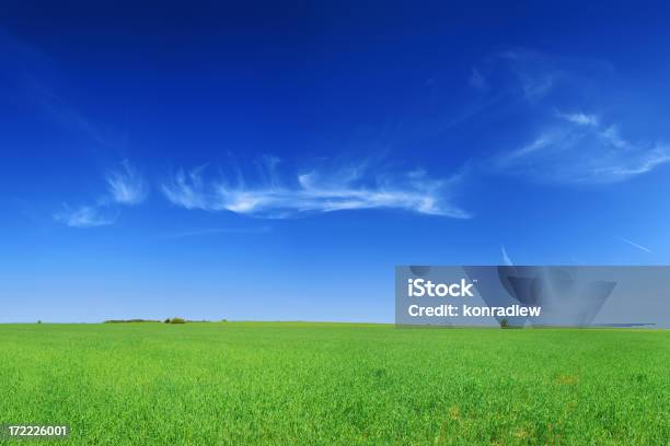 Paesaggio Verde Campo - Fotografie stock e altre immagini di Agricoltura - Agricoltura, Ambientazione esterna, Ambiente