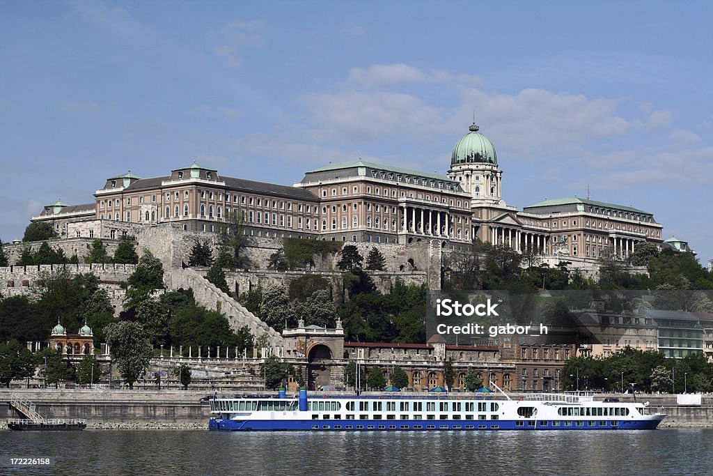 Palazzo Reale di Budapest - Foto stock royalty-free di Budapest