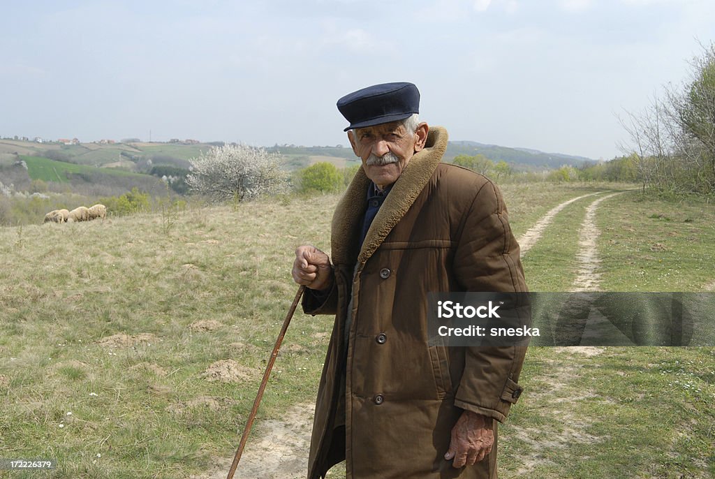 Hombre viejo tending oveja - Foto de stock de Abrigo libre de derechos