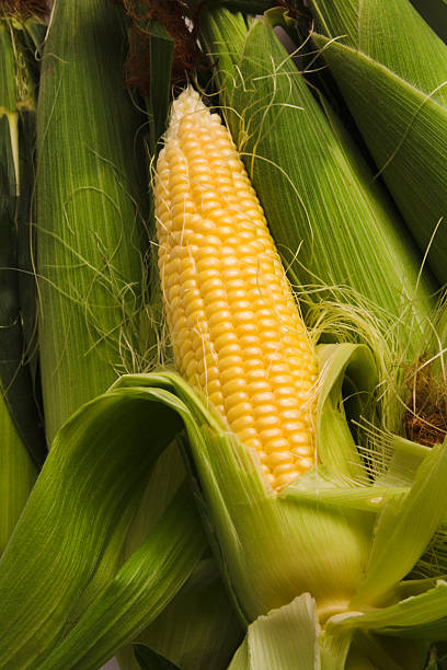 istock Sweetcorn Corn on the Cob, Fresh Cereal Vegetable Crop Close-up 172226425