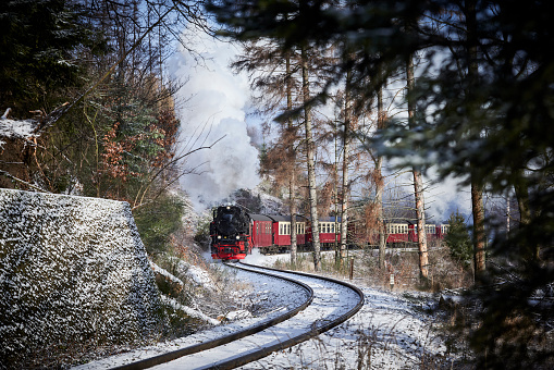 Historical steam train running full speed to Brocken Mountain in Harz region. The sky is blue, there is snow on the trees and the steam is coming out of the chimney.