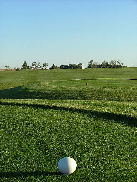 pośrednie tee box - tee golf wood heap zdjęcia i obrazy z banku zdjęć