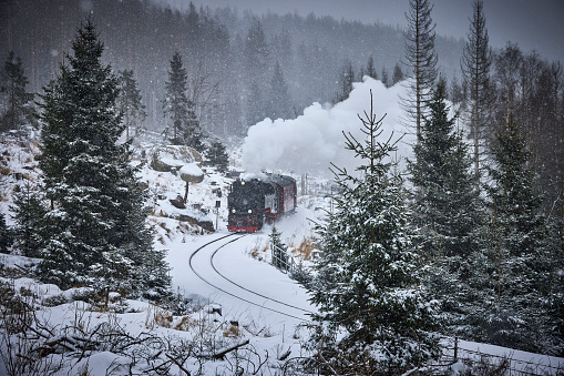 Historical steam train running full speed to Brocken Mountain in Harz region. The sky is grey, it is snowing, there is snow on the trees and the steam is coming out of the chimney.