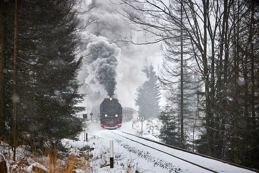 Historical steam train running full speed to Brocken Mountain in Harz region. The sky is grey, it is snowing, there is snow on the trees and the steam is coming out of the chimney.