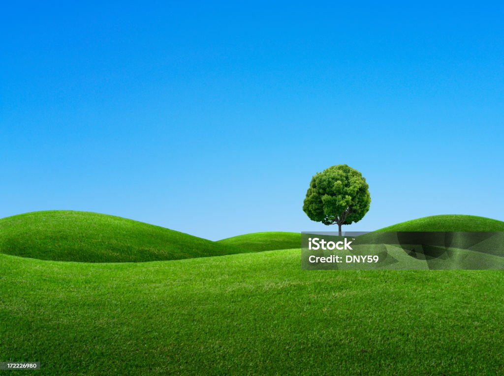 Giornata di primavera - Foto stock royalty-free di Albero