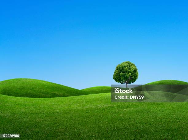 Giornata Di Primavera - Fotografie stock e altre immagini di Albero - Albero, Blu, Cielo