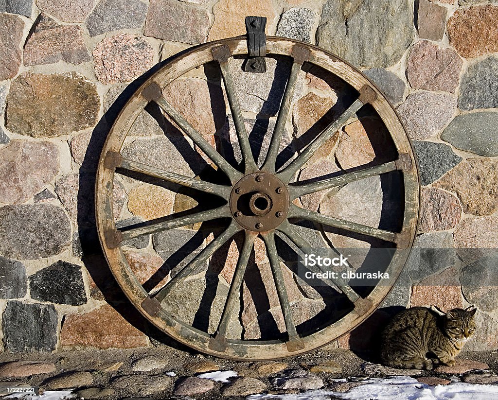 Carrito-Rueda y gato - Foto de stock de Hierro libre de derechos