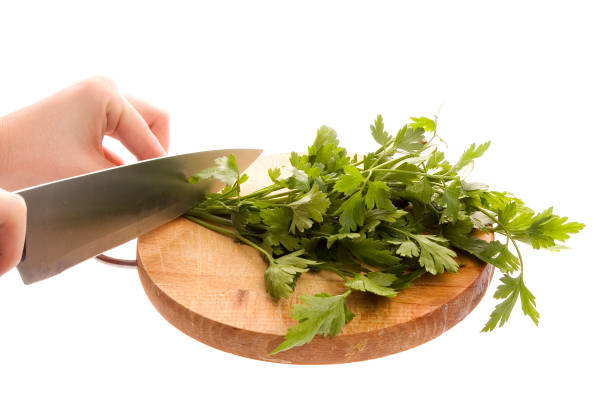 Cutting raw parsley stock photo