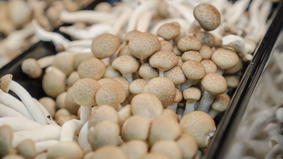 Brown beech mushrooms or White Shimeji mushroom on display in supermarket or groceries.
