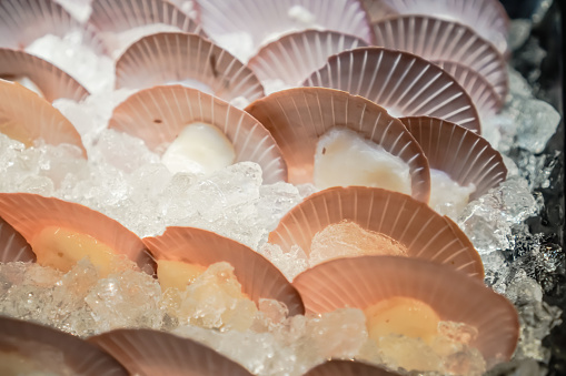 Fresh scallops or shelled mussels with ice on display in supermarkets