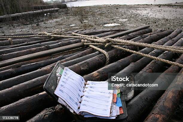 Calendario Bagnate Sul Raft Nel Fiume Artificiale - Fotografie stock e altre immagini di Fiume - Fiume, Puyallup, Affari