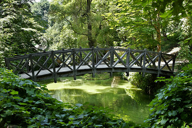 Footbridge in the Park 3 stock photo