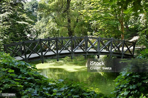 Foto de Passarela No Parque 3 e mais fotos de stock de Arco - Característica arquitetônica - Arco - Característica arquitetônica, Atividade Recreativa, Beleza natural - Natureza