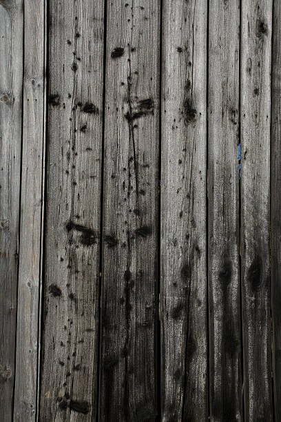 Limber Wall stock photo