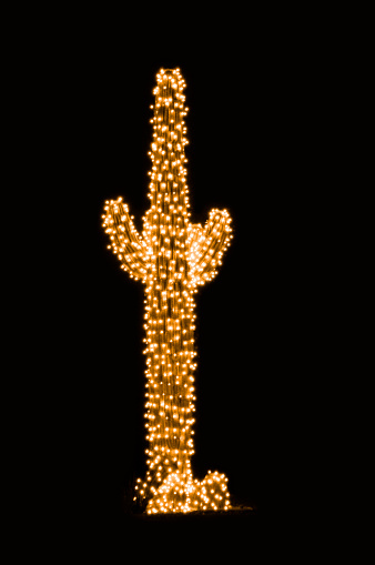 A cactus decorated for Christmas in Arizona.