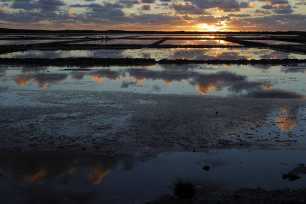 istock Dawn at the Salt Ponds 172229984