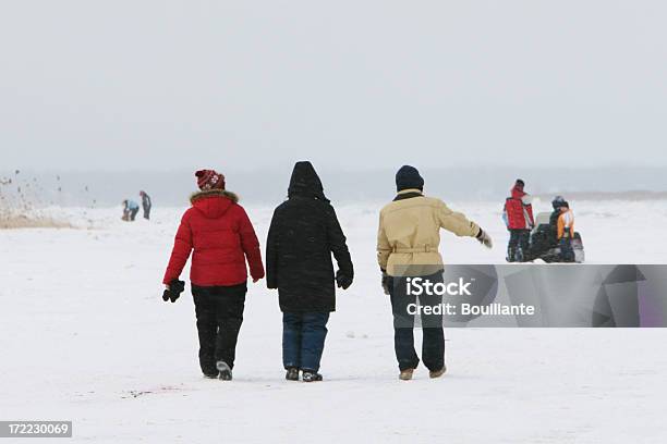Andar Com Rio Congelado - Fotografias de stock e mais imagens de A nevar - A nevar, Andar, Ao Ar Livre