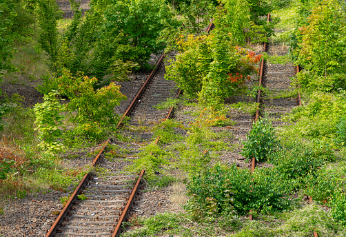 Germany, Berlin, July 27, 2023 - High level view of overgrown and disused railway tracks, Berlin Steglitz