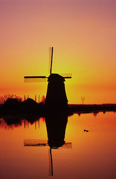 istock Dutch windmill at sunset, two ducks swimming 172230138