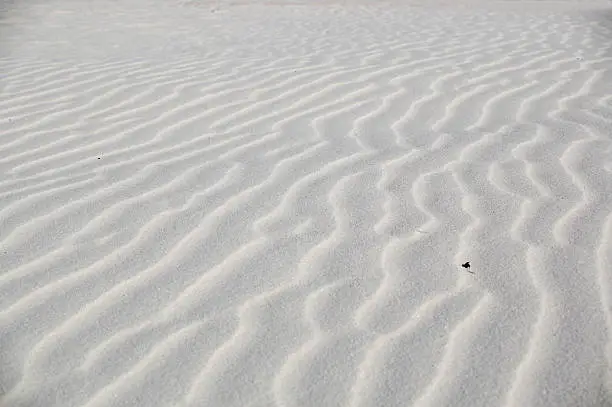 sandwaves in the white sands desert.the view is from the top of the dune to the ground