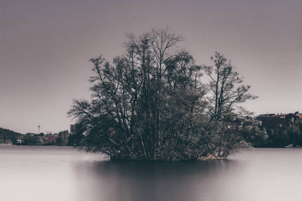 Little island in the river