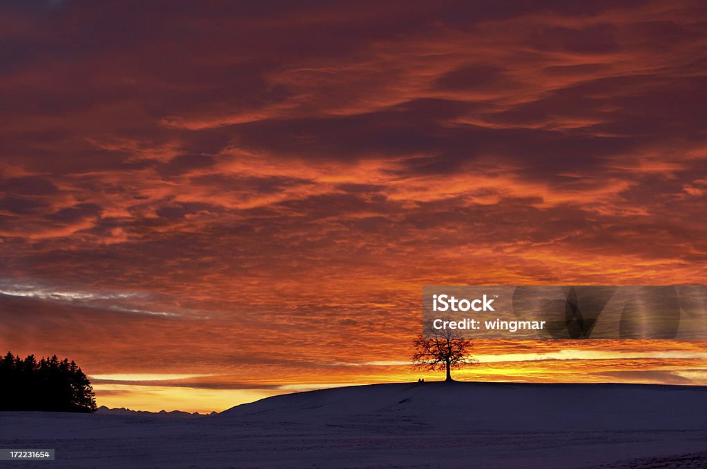 quema de cielo 3 - Foto de stock de Aire libre libre de derechos