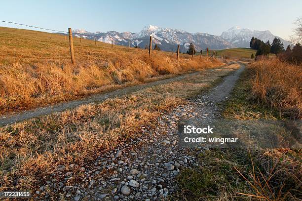 Allgaeu Farmland Stock Photo - Download Image Now - Abandoned, Agricultural Field, Agriculture