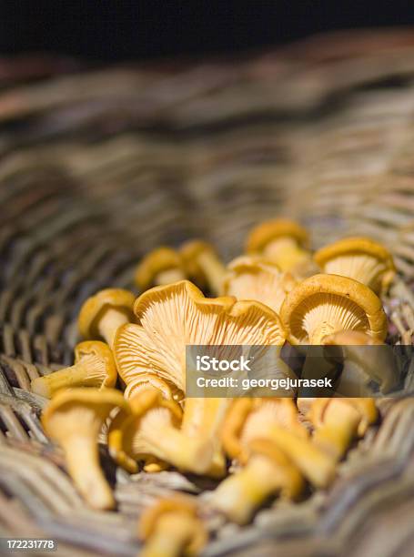 Grzyb Wyborze - zdjęcia stockowe i więcej obrazów Bez ludzi - Bez ludzi, Fotografika, Gourmet