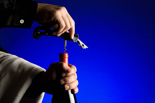 Wine with dinner? stock photo