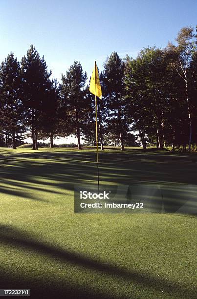 ゴルフコースのグリーン - グリーンのストックフォトや画像を多数ご用意 - グリーン, ゴルフ, ゴルフの旗