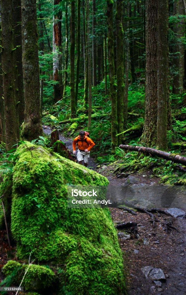 Trail Runner - Foto stock royalty-free di Corsa cross-country