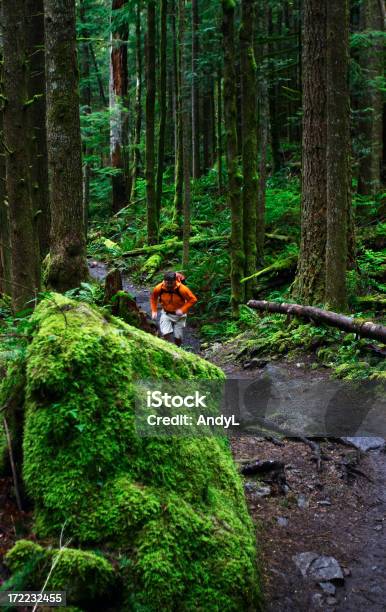 Trail Runner - Fotografie stock e altre immagini di Corsa cross-country - Corsa cross-country, Foresta, Stato di Washington