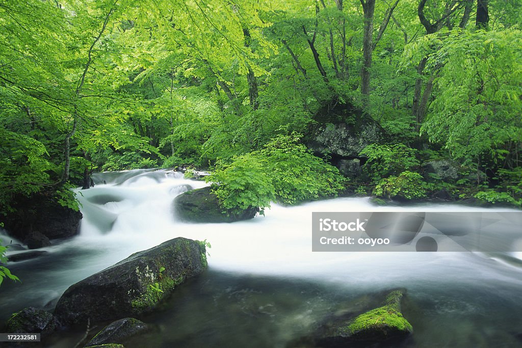 Río de montaña de Japón - Foto de stock de Agua libre de derechos