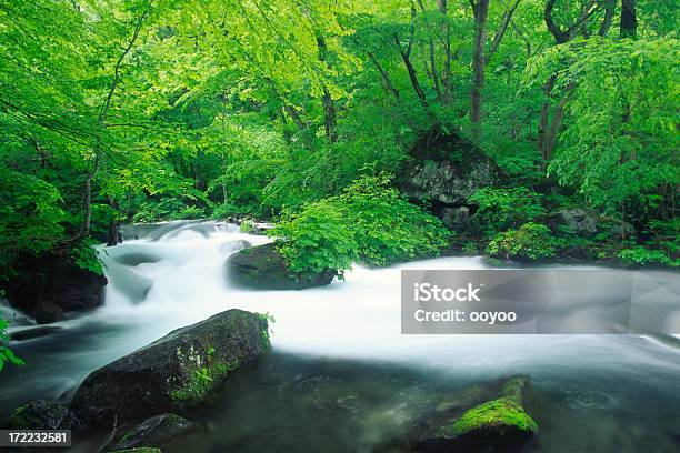 Río De Montaña De Japón Foto de stock y más banco de imágenes de Agua - Agua, Agua del grifo, Aire libre