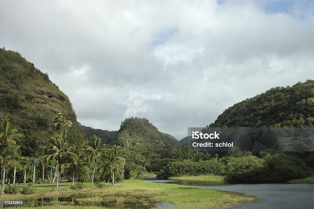 Tropical Valle - Foto stock royalty-free di Acqua