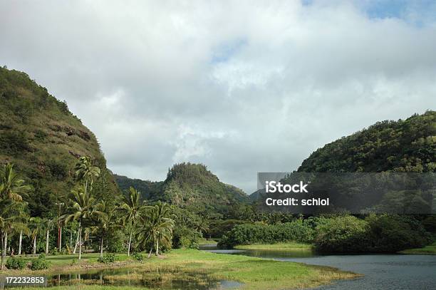 Tropical Valle - Fotografie stock e altre immagini di Acqua - Acqua, Albero, Albero tropicale