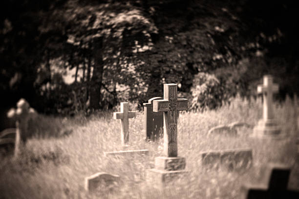 istock Field of Crosses 172233039