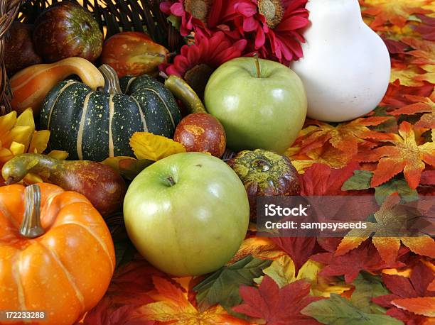 Autum Cena - Fotografias de stock e mais imagens de Abóbora-Menina - Cucúrbita - Abóbora-Menina - Cucúrbita, Claro, Colorido