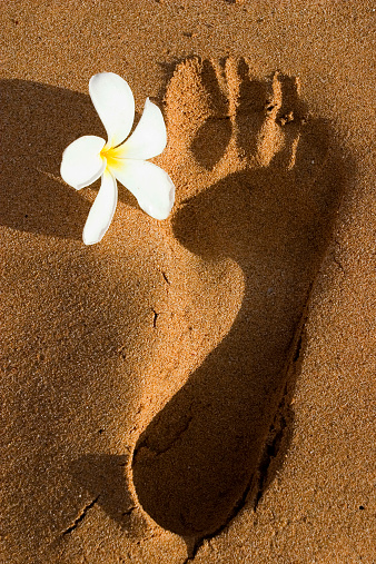 A flower and foot print on a beach in Hawaii.