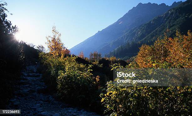 Autumn In Tatras Stock Photo - Download Image Now - Autumn, Blue, Bush