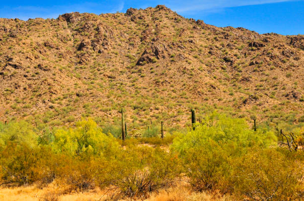 istock San Tan Mountains Sonora Desert Arizona 1722372870