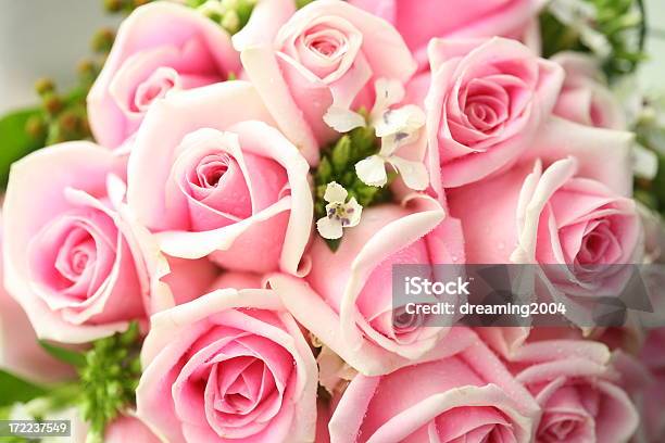 Foto de Rosas Corderosa e mais fotos de stock de Amor - Amor, Beleza, Bouquet