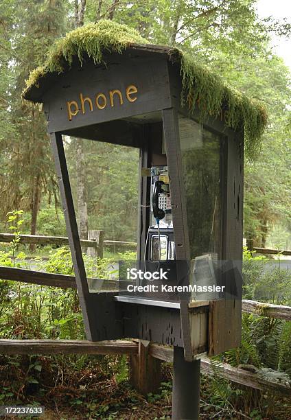 Foto de Cabine Telefônica Na Floresta e mais fotos de stock de Cabine de telefone público - Telefone público - Cabine de telefone público - Telefone público, Floresta, Cena Rural