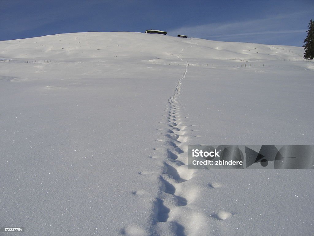 Largo camino hasta la parte superior - Foto de stock de Nieve libre de derechos