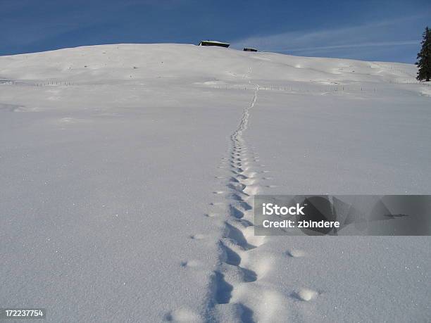 Largo Camino Hasta La Parte Superior Foto de stock y más banco de imágenes de Nieve - Nieve, Snowshoeing, Aislado